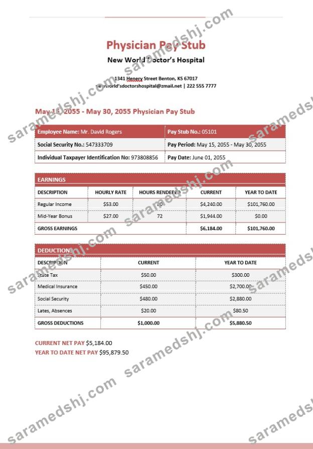 New World Doctor’s Hospital Physician Pay Stub in PDf and Word formats